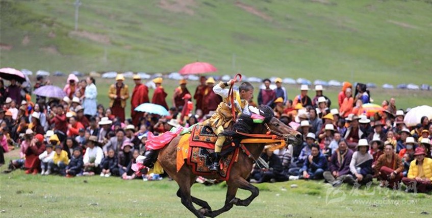 格?；ㄊ㈤_(kāi) 牧民馬背上一顯身手